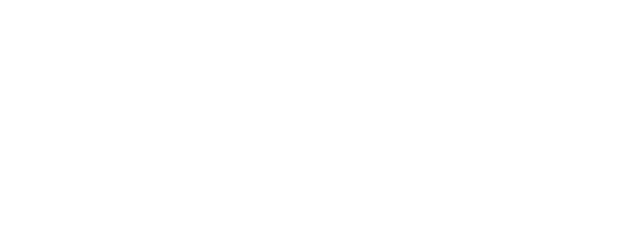 DS Transport Express Logo